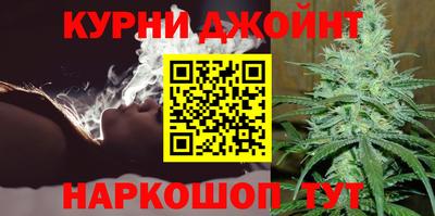 индика Лесосибирск