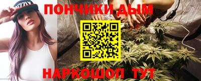 индика Лесосибирск