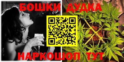 индика Лесосибирск