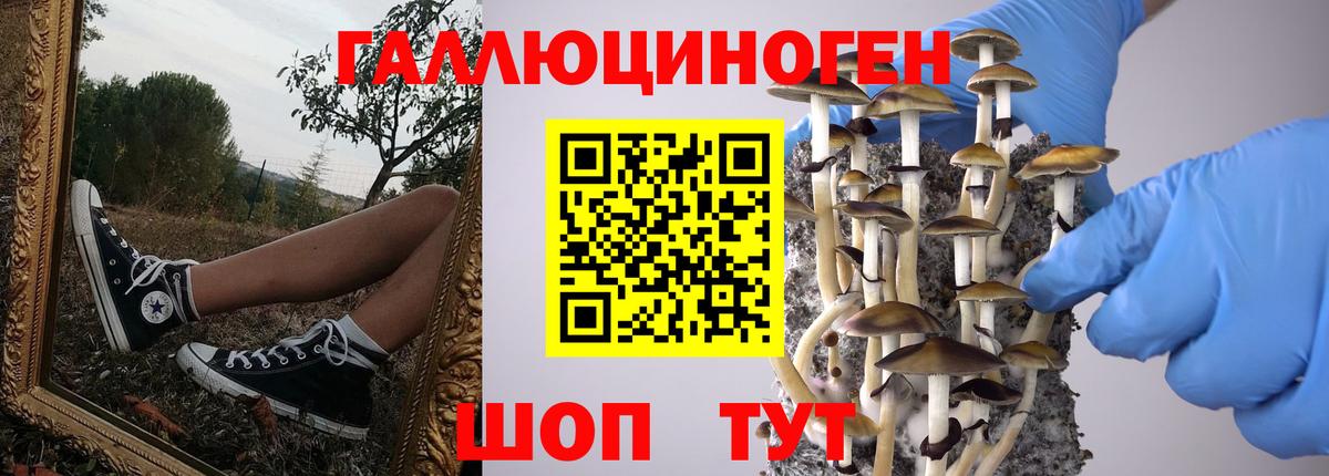 Галлюциногенные грибы Psilocybine cubensis  Вход с VPN  Грязи  Псилоцибиновые грибы мухоморы 